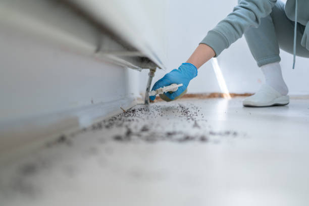 Best Pest Inspection Near Me  in Greens Farms, CT